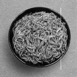 Veg Shradha Saburi Sp.noodles