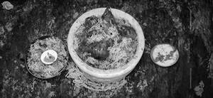 Kolkata Style Chicken Dum Biriyani