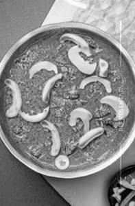 Mattar mushroom