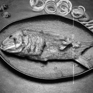 Pan fried fish in schezwan sauce