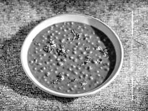 Dal Fry