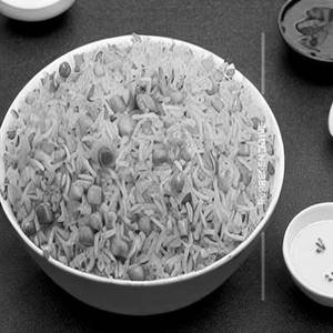 Panneer Fried Rice