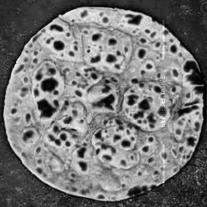 Aloo Paratha