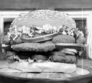Tandoori paneer burger