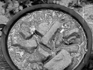 Soya Chaap Masala