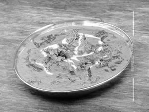 Shahi Paneer