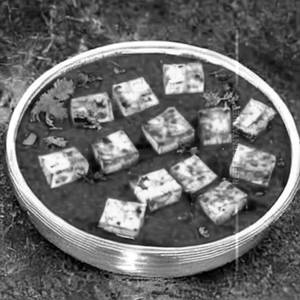 Paneer Hungama       