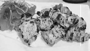Chicken Rajoli Kebab