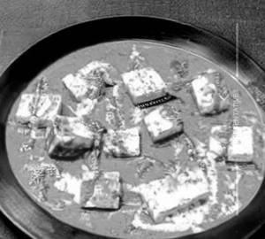 Paneer Khurchan