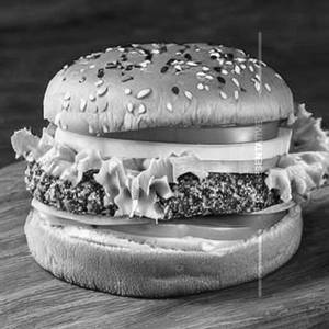 Veg Snakker Burger [Regular]