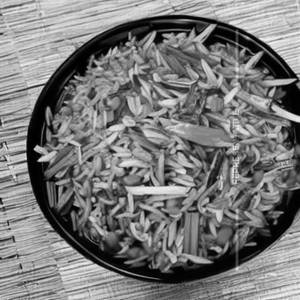 Manchow Fries Rice