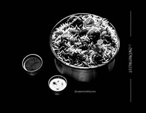 Dilkush Biryani