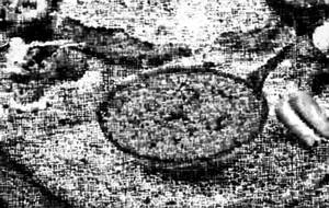 Sev tamatar