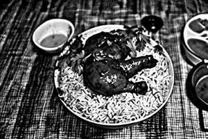Chicken pot rice