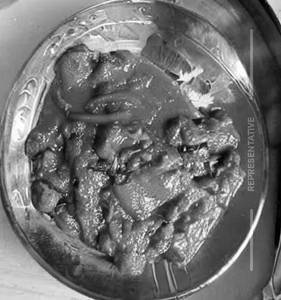 Veg. Tawa