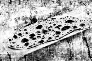 Missi Roti