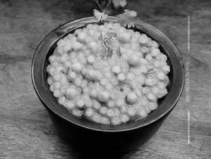 Navratri Special Sabudana Khichdi