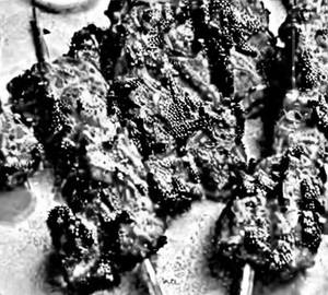 Chicken Angara Tikka