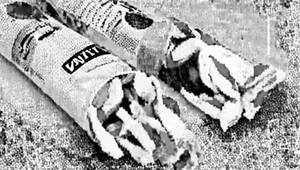 Veg mayonnaise frankie