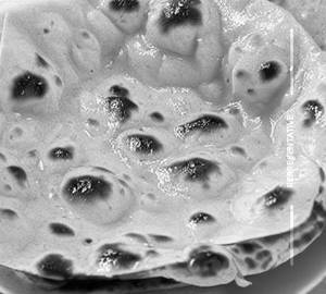 Butter Missi Roti