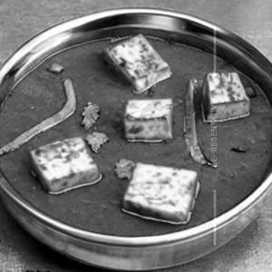 Paneer Kolhapuri     