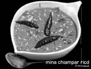 Sambar rice