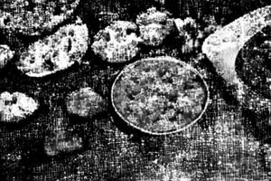 Mutton Rara