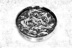 Chicken Bemisal
