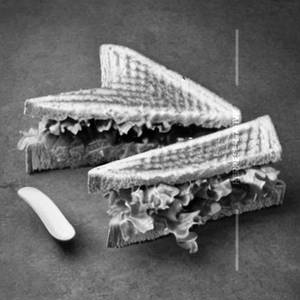 Naughty Sandwich