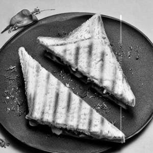 Cheese Grilled Sandwich