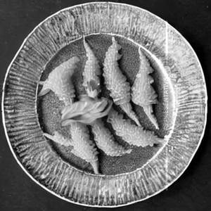 Finger Fish