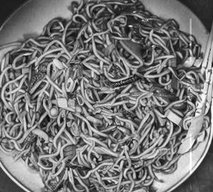 Gobi noodles