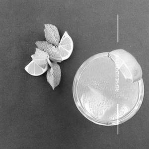 Fresh Lime Water Mixed