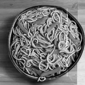 Triple Noodle Veg