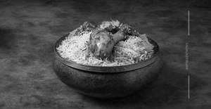 Chicken Biryani [Boneless]