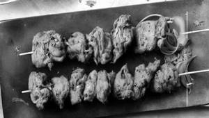 Chicken Shikari Kabab