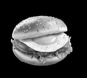 Egg & Chicken Burger