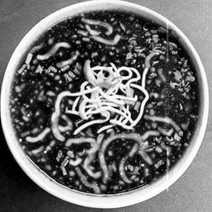 Manchow Soup