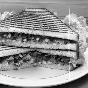 Veg Grill Sandwich