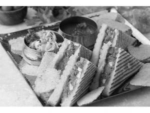 Veg Dilliwala Grilled Sandwich