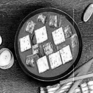 Paneer Hum Dum