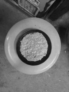 Cheese Maggi
