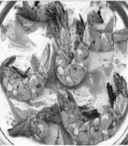 Prawn Pepper Salt     