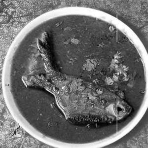 Hot Garlic Bhetki Fish     