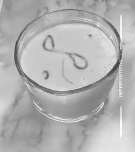 Masala Milk Hot