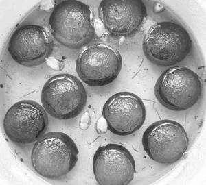 Gulab Jamun (4Pc)