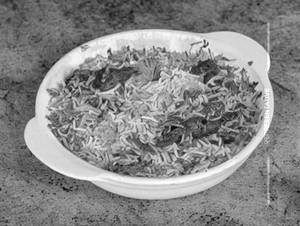 Hyderabadi Biryani