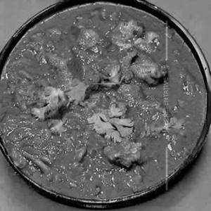 Murgh Khushk Pardha