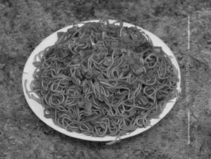 Manchurian Noodles