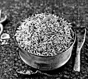 Schezwan Fried Rice